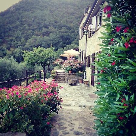 Farmhouse B&B Castagnola 64 Ne Εξωτερικό φωτογραφία